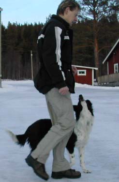 Don trnar tillsammans med husse Bosse, Sundsvall februari 2004.