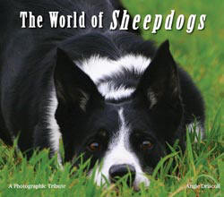 Angie Driscolls wonderful book of world sheepdogs of today, available from end of February! Click to find out more about the book!
