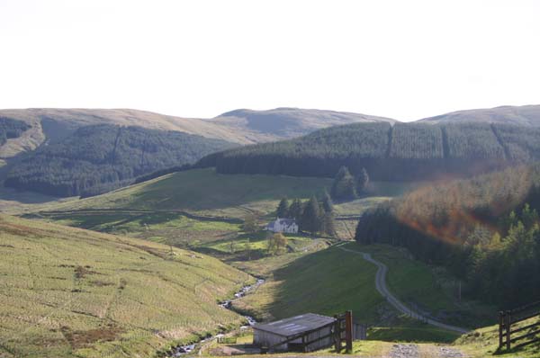 Potburn i soldis! Klicka till Skottlandsbilder! Fotot: Tommie Frank.